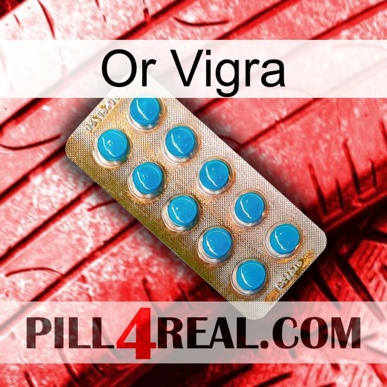 Gold Vigra new09